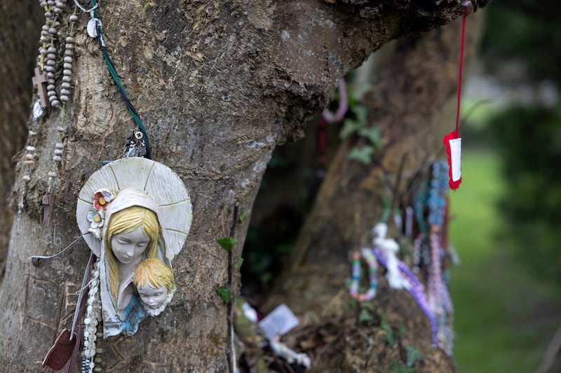 The holy well near the St Mella’s oratory site on the St Manchan Lemanaghan monastery grounds in Co Offaly. Photograph: Chris Maddaloni