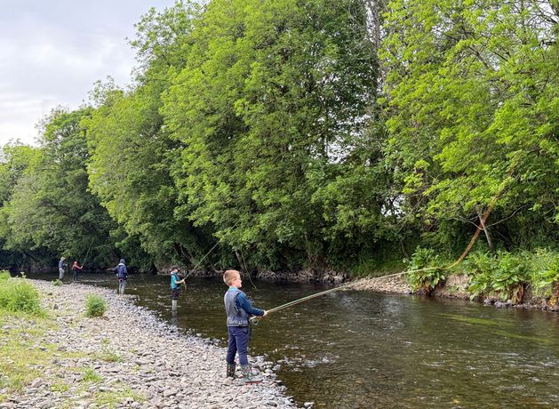 River in Cork hit by major fish kill to see cutting-edge device deployed monitoring pollutants