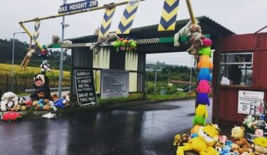 Cork’s recycling centres to start taking timber waste again ‘in a couple of months’