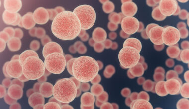 Targeting STING Pathway Triggers Cytotoxic and Immune Responses Against Meningioma