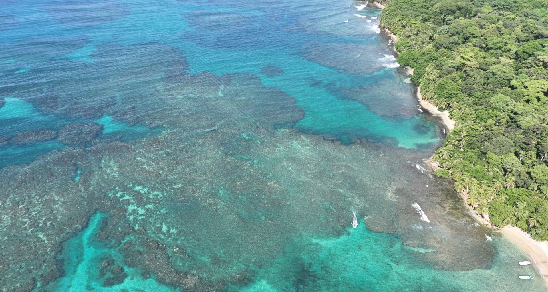 Fish fossils reveal major shifts in Caribbean reef food webs