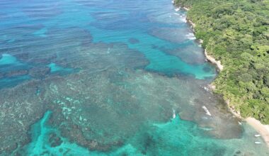 Fish fossils reveal major shifts in Caribbean reef food webs