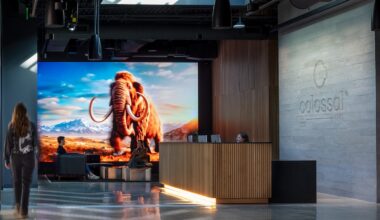 Colossal Woolly Mammoth ‘On Track for 2028’ as Perception Around De-Extinction Evolves