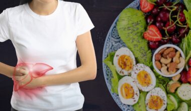 Could Lower Protein Intake Help Prevent Liver Cancer? New Research Points to a Possible Link