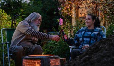 If I could marry a TV show, I’d choose this one about a bearded man – The Irish Times