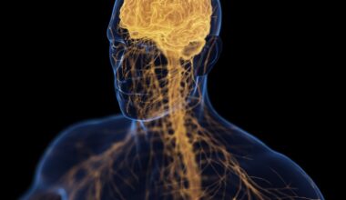 'Brain-Bone-Axis' May Link Depression With Osteoporosis, Study Claims : ScienceAlert