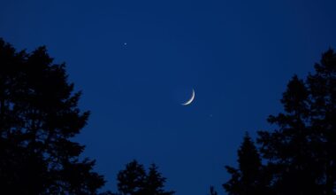 A crescent moon is pictured in a dark blue sky with the dark silhouettes of trees below.