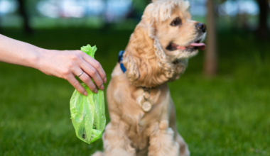 Zero dog fouling fines in Donegal in four years