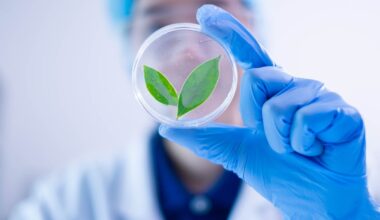 new discovery could reshape crop breeding and resilience