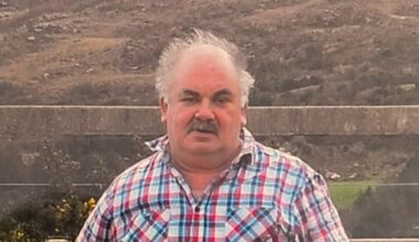 Man who kicked ‘good-natured’ pensioner to death after chance meeting admits manslaughter – The Irish Times