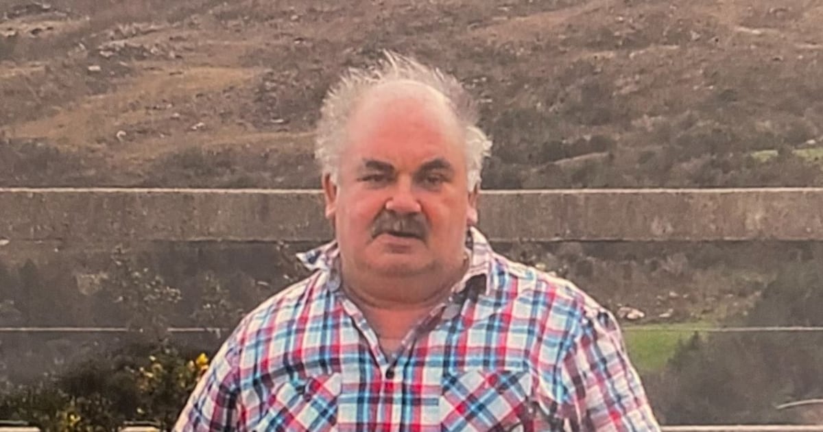 Man who kicked ‘good-natured’ pensioner to death after chance meeting admits manslaughter – The Irish Times