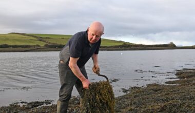 The seaweed-harvesting battle on Ireland’s west coast – The Irish Times