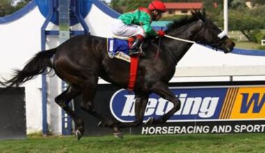 Champion South African Racemare Ebony Flyer Dies