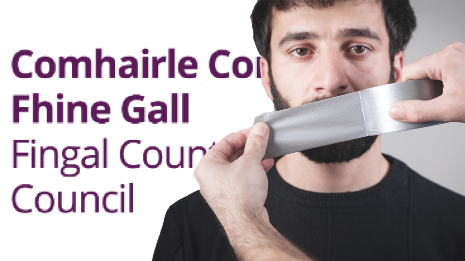 Council hears proposal to ban term  ‘non-national’ 