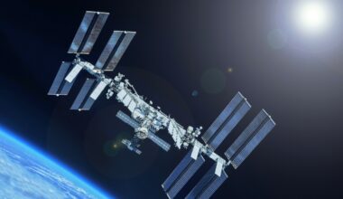 Space fungus mines rare metal from meteorites