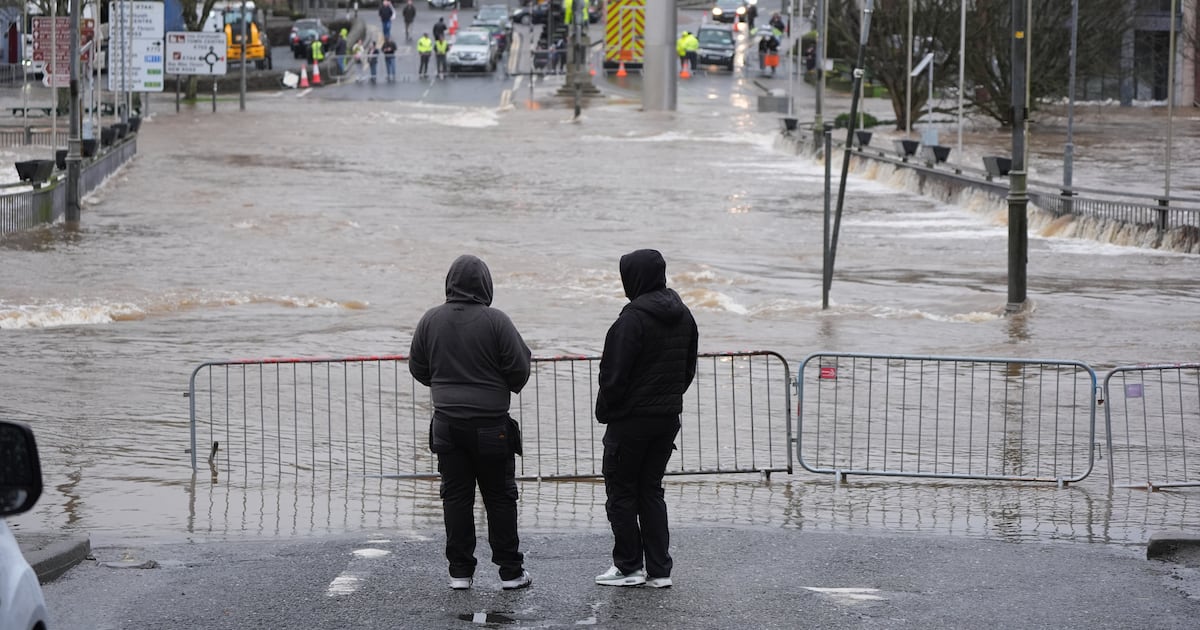 Keep your front garden intact and other nature-based solutions to urban flood risks – The Irish Times