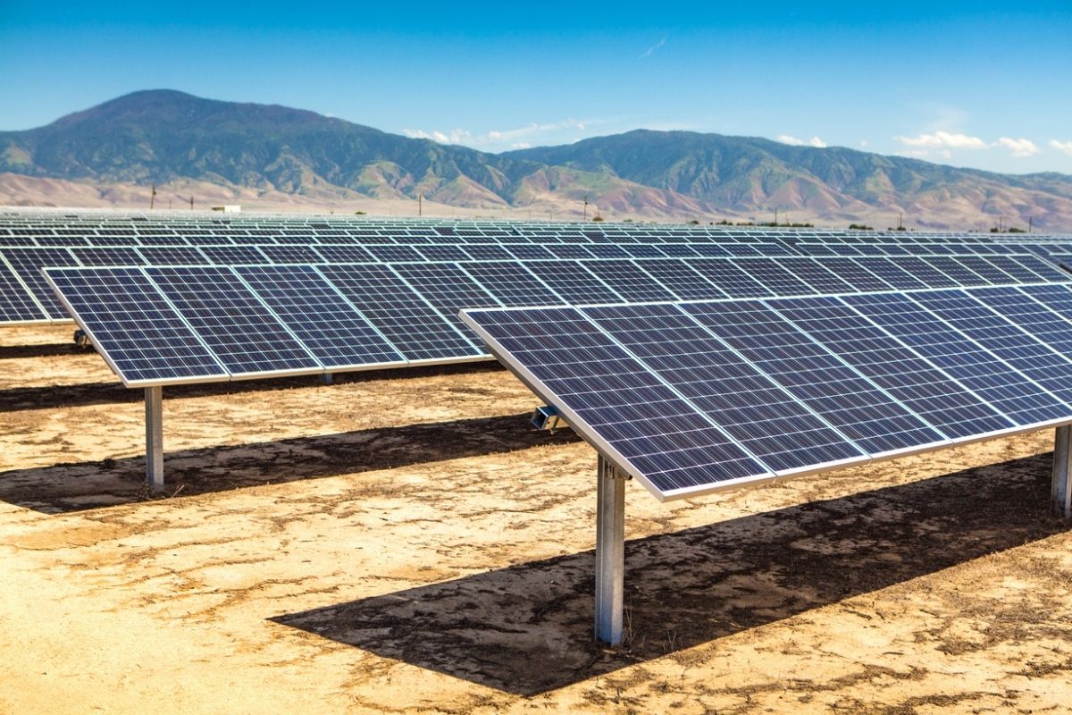 installing solar panels in deserts irreversibly transforms the ecosystem