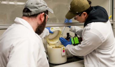 Electric Eel Biology Inspires Powerful Gel Battery