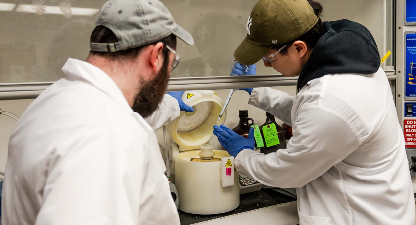 Electric Eel Biology Inspires Powerful Gel Battery