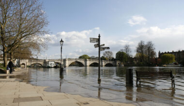 Framework for a Nature Positive Built Environment