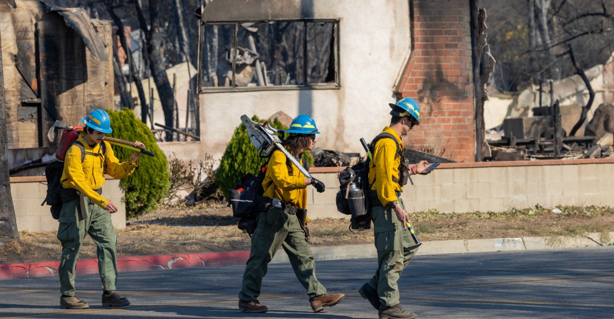 Trump’s new Wildland Fire Service is failing to ignite