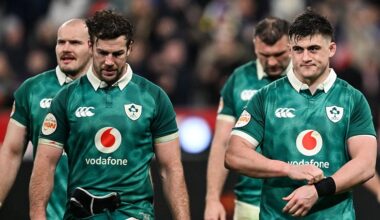 Finger of blame pointed at South African in Ireland loss to France