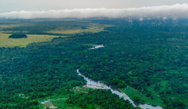 View of a river running through lush, tropical forests.