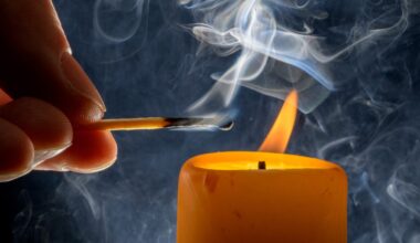 How clean-air scientists purify their homes