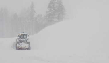 Eight skiers dead and one missing after California avalanche – The Irish Times