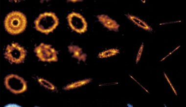 Dusty Disks around Stars Reveal Diversity of Planetary Systems in Their Teenage Years