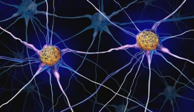 Plasma BD-tau as a biomarker in Alzheimer’s disease