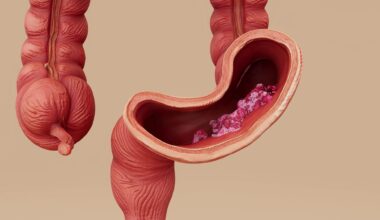 The Role of the Gut Microbiome in Gastrointestinal Cancer Development