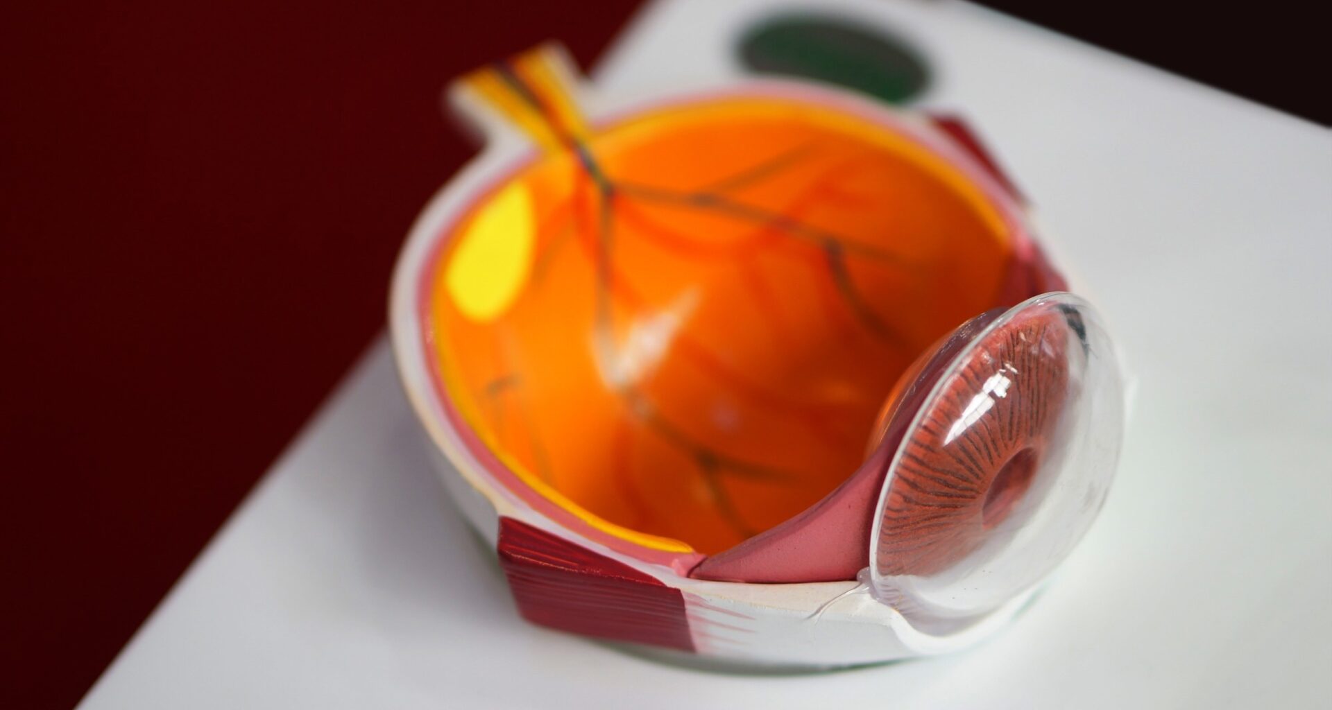 Study: Metformin and incidence of age-related macular degeneration in people with diabetes: a population-based 5-year case-control study. Image Credit: reddees / Shutterstock