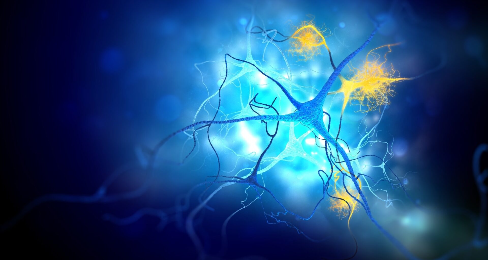 Study: Engineering chimeric antigen receptor CD4 T cells for Alzheimer’s disease. Image Credit: Andrii Vodolazhskyi / Shutterstock