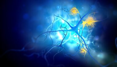 Study: Engineering chimeric antigen receptor CD4 T cells for Alzheimer’s disease. Image Credit: Andrii Vodolazhskyi / Shutterstock