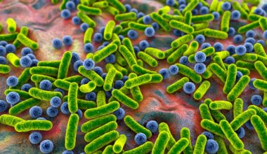 Study: Exploring the gut microbiome in type 2 diabetes across different insulin resistance levels: a machine learning approach. Image Credit: Kateryna Kon / Shutterstock