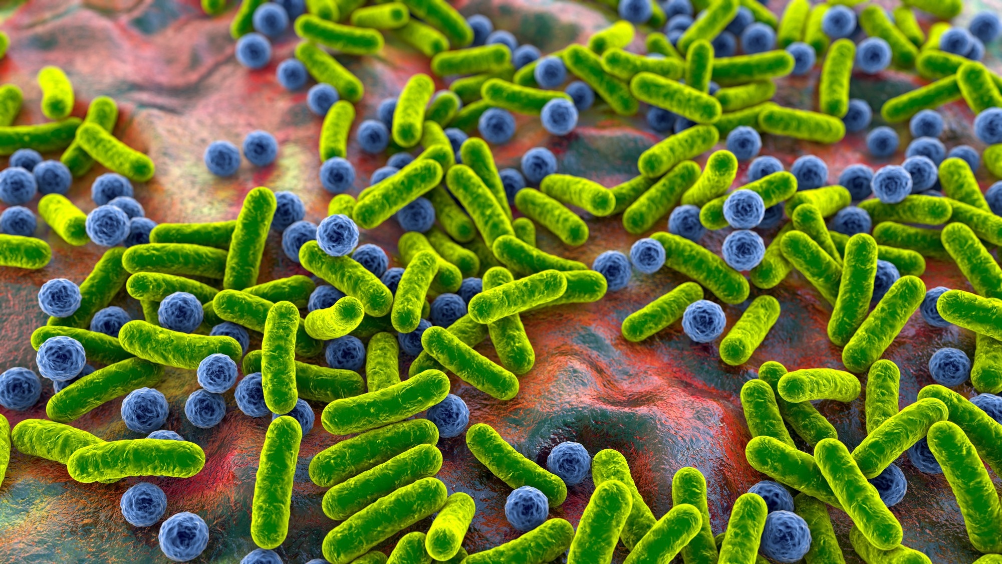 Study: Exploring the gut microbiome in type 2 diabetes across different insulin resistance levels: a machine learning approach. Image Credit: Kateryna Kon / Shutterstock