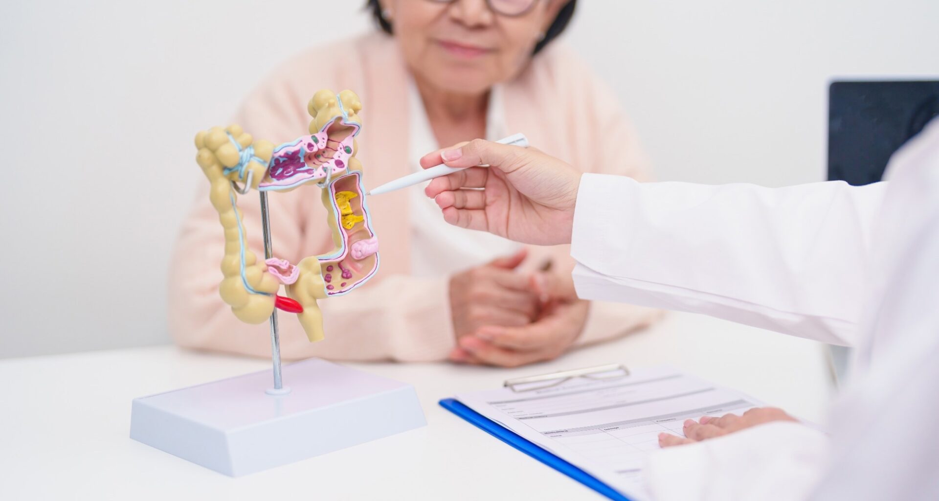 Older adult female patient consultation with doctor. Doctor is pointing to model of colon