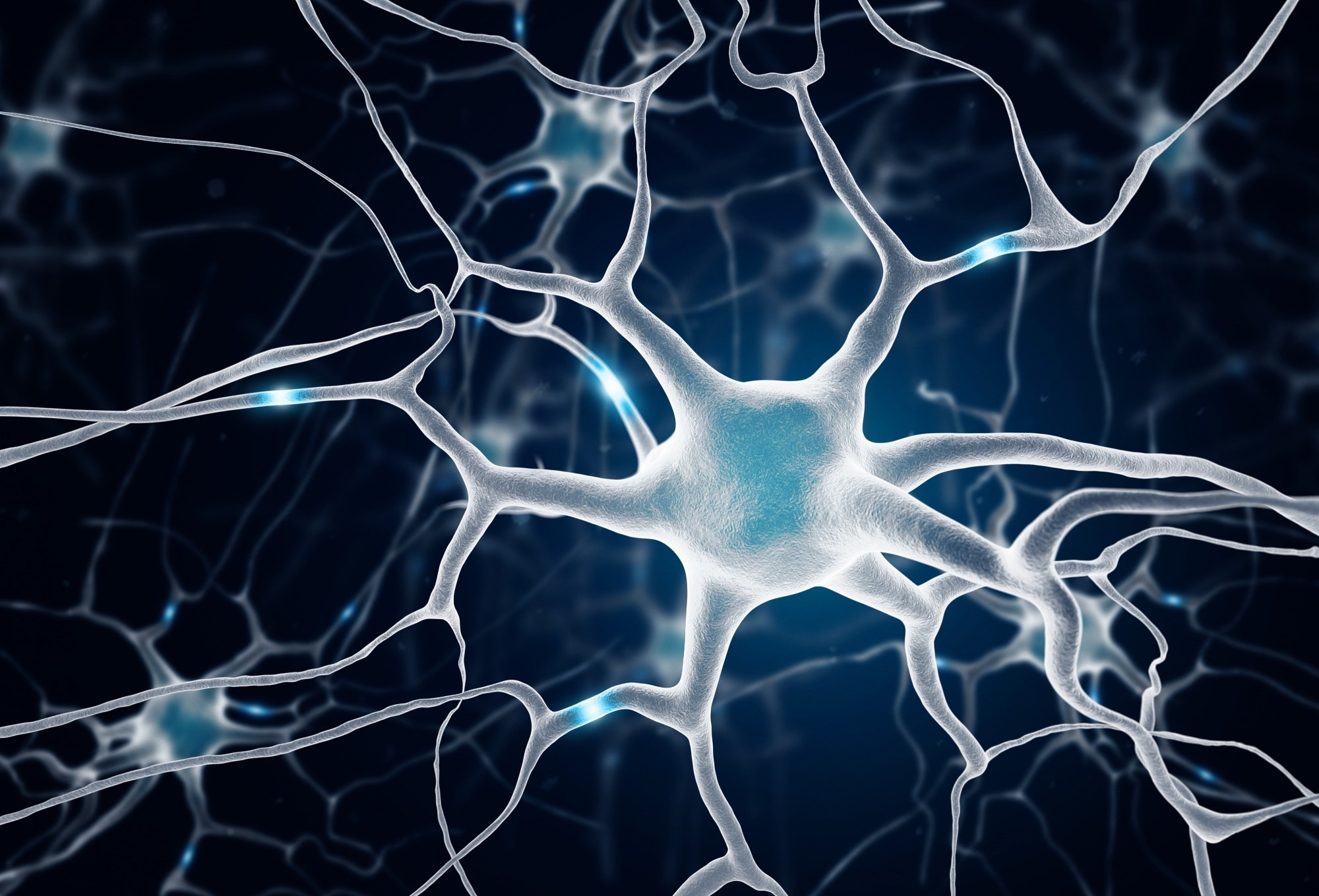 Study: Human hippocampal neurogenesis in adulthood, ageing and Alzheimer’s disease. Image Credit: MP Art / Shutterstock