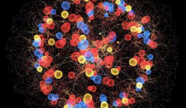 Photons Demonstrate Thermal Equilibrium Via Continuous Exchange with Average Energy