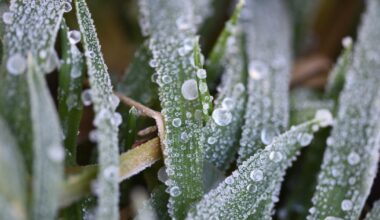 Met Éireann issues new snow, rain and wind warnings for several counties for coming days – The Irish Times