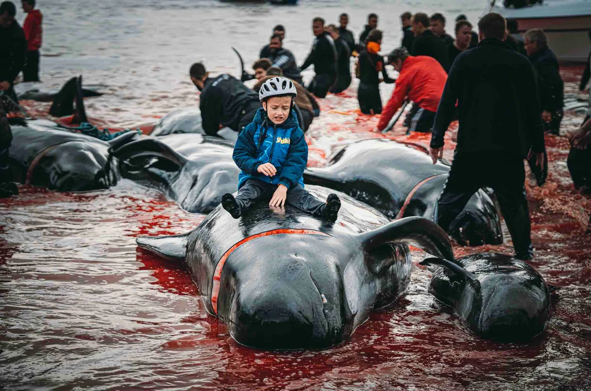 Innocence Meets Tradition by Khaichuin Sim