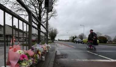 Hit-and-run driver who killed Mia Lily Keogh O’Keeffe (16) was unaccompanied learner, gardaí believe – The Irish Times