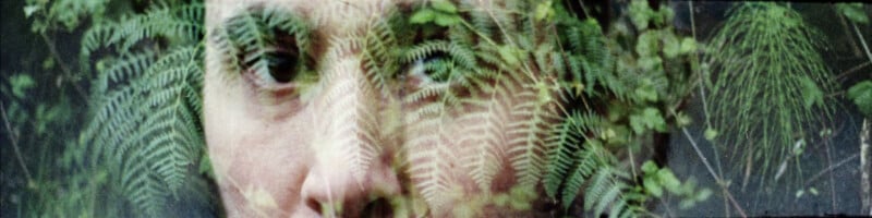 A close-up of a person’s face is partially obscured by overlapping green fern leaves, creating a double exposure effect that blends human features with natural foliage.
