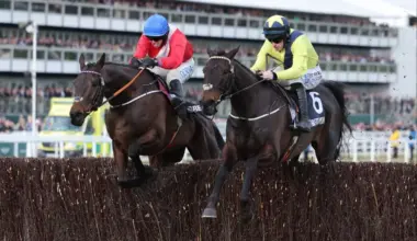 Ruby's Cheltenham Call draft