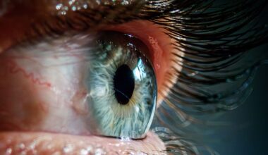 Common Diabetes Medication May Help Treat Age-Related Vision Loss