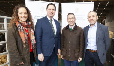 Donegal and Northern Ireland picked for first-ever cross-border bovine TB pilot