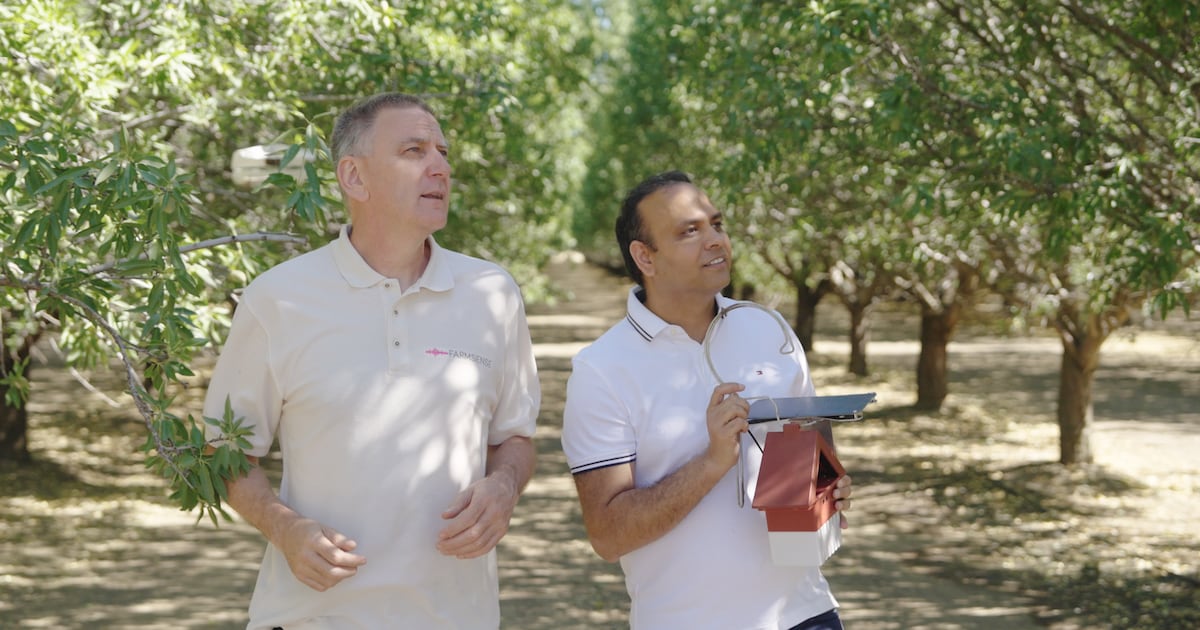 Dubliner’s spyware innovation helps save California’s nut farmers – The Irish Times