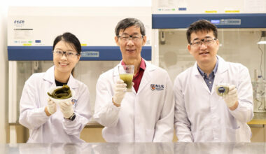 NUS fermentation breakthrough boosts kombu nutrition and flavour