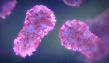 Microscopic view of a giant virus particle with complex surface structures captured in a lab visualization